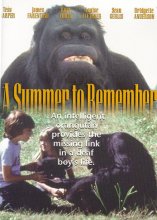 Cover art for A Summer to Remember