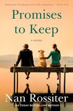 Cover art for Promises to Keep: A Novel (Savannah Skies, 2)