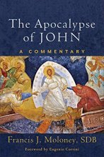 Cover art for The Apocalypse of John: A Commentary