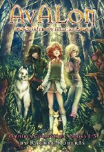 Cover art for Avalon: Web of Magic Omnibus 1