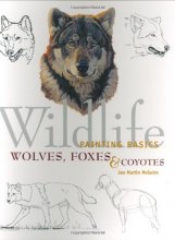 Cover art for Wildlife Painting Basics: Wolves, Foxes, & Coyotes