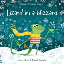 Cover art for Lizard in a Blizzard