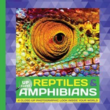 Cover art for Reptiles & Amphibians: A close-up photographic look inside your world (Up Close)