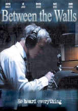 Cover art for Between the Walls