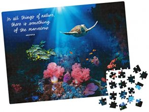 Cover art for 300-Piece Calm Jigsaw Puzzle for Relaxation, Stress Relief, and Mood Elevation, for Adults and Kids Ages 8 and up, Calm Coral