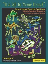 Cover art for It's All In Your Head, Patient Stories From the Front Lines: Intimate Aspects of Chronic and Neuropsychiatric Lyme Disease