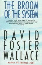 Cover art for The Broom of the System
