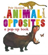 Cover art for Animal Opposites