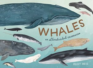 Cover art for Whales: An Illustrated Celebration