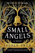 Cover art for Small Angels: A Novel