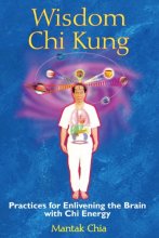 Cover art for Wisdom Chi Kung: Practices for Enlivening the Brain with Chi Energy