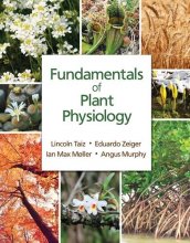 Cover art for Fundamentals of Plant Physiology