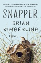 Cover art for Snapper (Vintage Contemporaries)