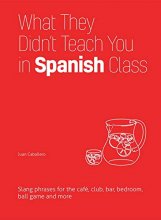 Cover art for What They Didn't Teach You in Spanish Class: Slang Phrases for the Cafe, Club, Bar, Bedroom, Ball Game and More (What They Didn't Teach You in Class)