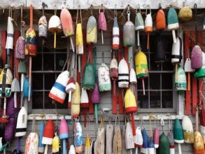 Cover art for White Mountain Puzzles Lobster Buoys - 500 Piece Jigsaw Puzzle