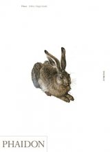 Cover art for Dürer (Art & Ideas)