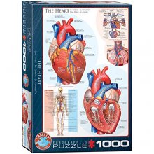 Cover art for EuroGraphics Human Body (The Heart) Puzzle (1000-Piece) , Blue