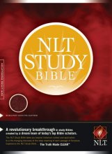 Cover art for NLT Study Bible