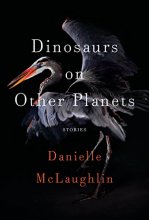 Cover art for Dinosaurs on Other Planets: Stories