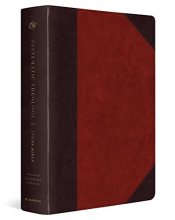 Cover art for ESV Systematic Theology Study Bible (TruTone, Brown/Cordovan, Portfolio Design)