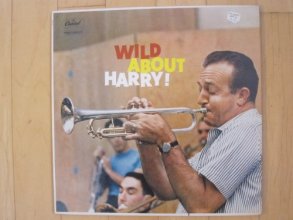Cover art for wild about harry!