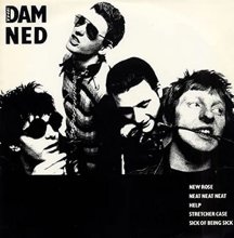 Cover art for New Rose