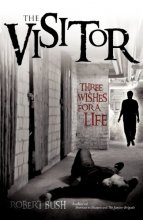 Cover art for The Visitor