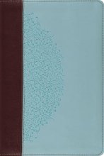 Cover art for ESV Study Bible, Personal Size (TruTone, Chocolate/Blue, Ivy Design) (Esv Bibles)