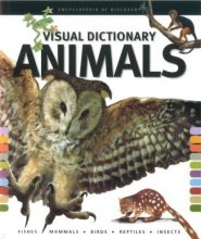 Cover art for Visual Dictionary of Animals