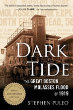 Cover art for Dark Tide: The Great Boston Molasses Flood of 1919