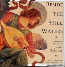 Cover art for Beside the Still Waters: An Illustrated Bible Anthology