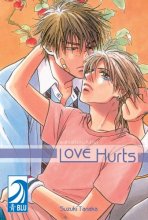 Cover art for Love Hurts Aishiatteru Futari