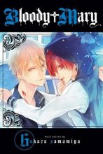 Cover art for Bloody Mary, Vol. 6