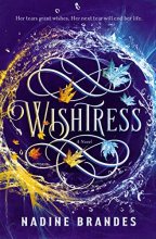 Cover art for Wishtress