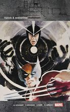 Cover art for Havok & Wolverine: Meltdown