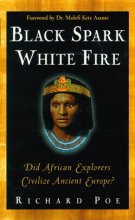 Cover art for Black Spark, White Fire: Did African Explorers Civilize Ancient Europe?