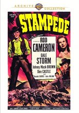 Cover art for Stampede