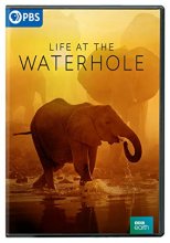 Cover art for Life at the Waterhole DVD