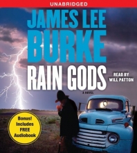 Cover art for Rain Gods: A Novel