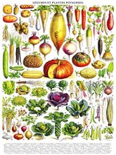 Cover art for New York Puzzle Company - Vintage Images Vegetables ~ Légumes - 1000 Piece Jigsaw Puzzle