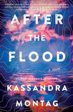 Cover art for After the Flood: A Novel