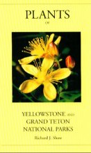 Cover art for Plants of Yellowstone and Grand Teton National Parks