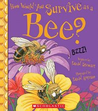 Cover art for How Would You Survive as a Bee?