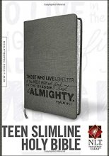 Cover art for Teen Slimline Bible NLT (Red Letter, LeatherLike, Charcoal)