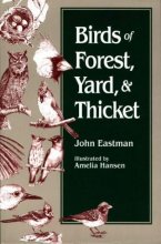 Cover art for Birds of Forest, Yard & Thicket