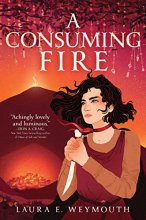 Cover art for A Consuming Fire