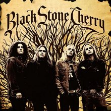 Cover art for Black Stone Cherry