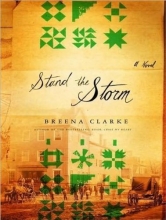 Cover art for Stand the Storm: A Novel