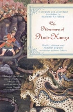 Cover art for The Adventures of Amir Hamza (Modern Library)