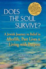 Cover art for Does the Soul Survive?: A Jewish Journey to Belief in Afterlife, Past Lives & Living with Purpose